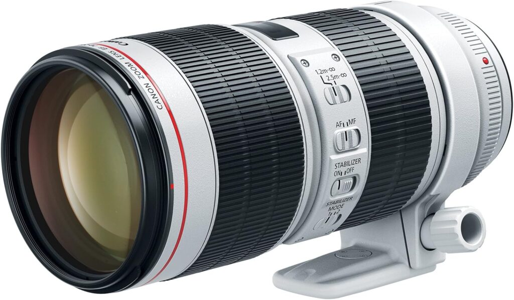 Canon EF 70-200mm f/2.8L IS III – Best Canon EF Lens with Telephoto Zoom, Fast Aperture, and Image Stabilization